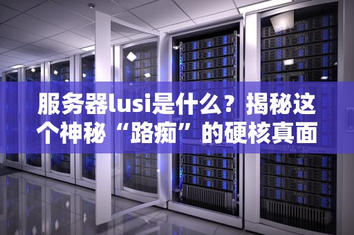 服务器lusi是什么？揭秘这个神秘“路痴”的硬核真面目！