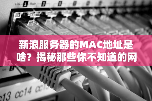 新浪服务器的MAC地址是啥？揭秘那些你不知道的网卡身份证冷知识！