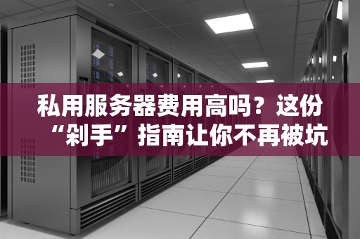 私用服务器费用高吗？这份“剁手”指南让你不再被坑！