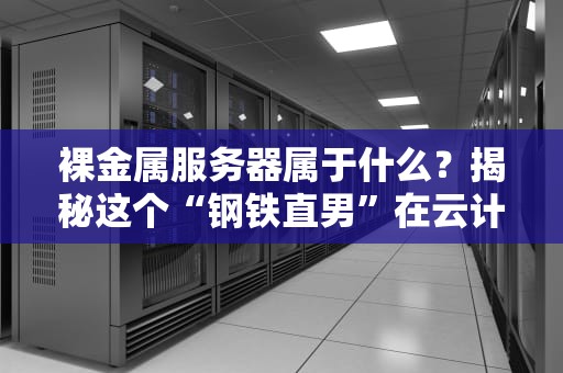 裸金属服务器属于什么？揭秘这个“钢铁直男”在云计算界的真实身份！