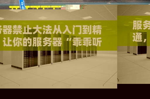 服务器禁止大法从入门到精通，让你的服务器“乖乖听话”