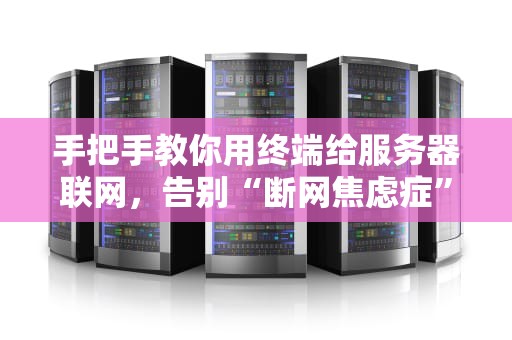 手把手教你用终端给服务器联网，告别“断网焦虑症”！