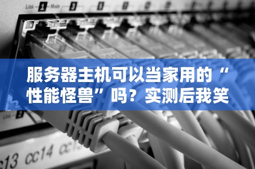 服务器主机可以当家用的“性能怪兽”吗？实测后我笑出了猪叫！