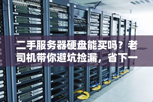 二手服务器硬盘能买吗？老司机带你避坑捡漏，省下一个小目标！