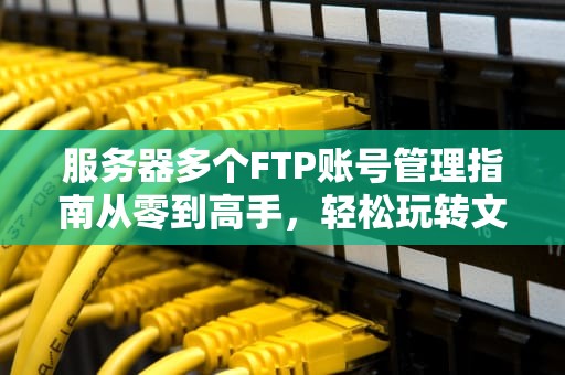 服务器多个FTP账号管理指南从零到高手，轻松玩转文件传输！