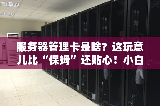 服务器管理卡是啥？这玩意儿比“保姆”还贴心！小白必看的硬核科普