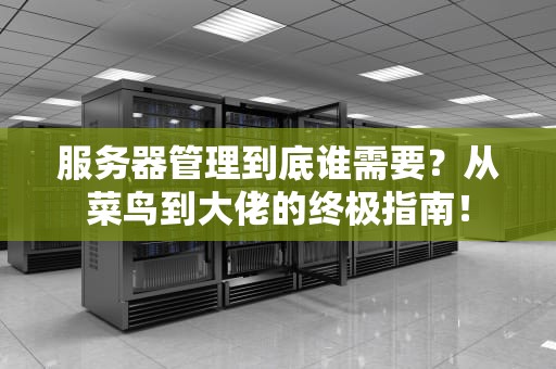 服务器管理到底谁需要？从菜鸟到大佬的终极指南！