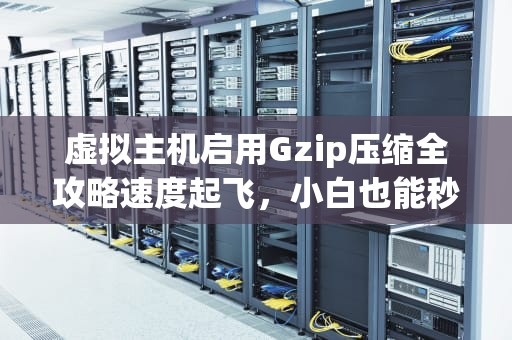 虚拟主机启用Gzip压缩全攻略速度起飞，小白也能秒懂！