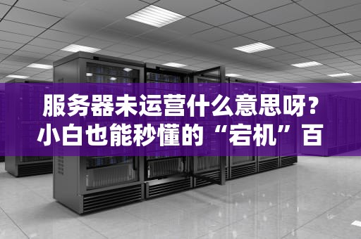 服务器未运营什么意思呀？小白也能秒懂的“宕机”百科全书！