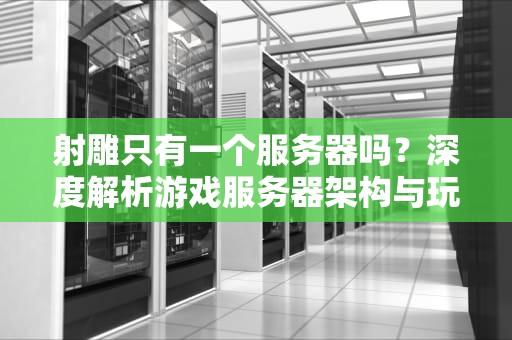 射雕只有一个服务器吗？深度解析游戏服务器架构与玩家体验！