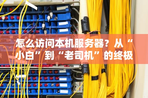 怎么访问本机服务器？从“小白”到“老司机”的终极指南（附骚操作）