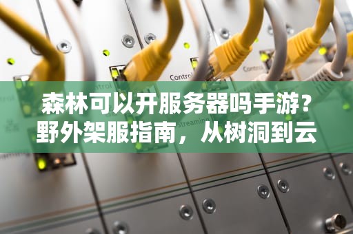 森林可以开服务器吗手游？野外架服指南，从树洞到云端的奇幻漂流！
