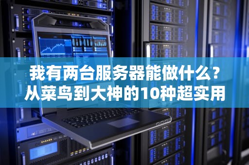 我有两台服务器能做什么？从菜鸟到大神的10种超实用玩法！