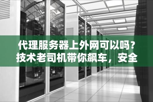 代理服务器上外网可以吗？技术老司机带你飙车，安全又畅快！