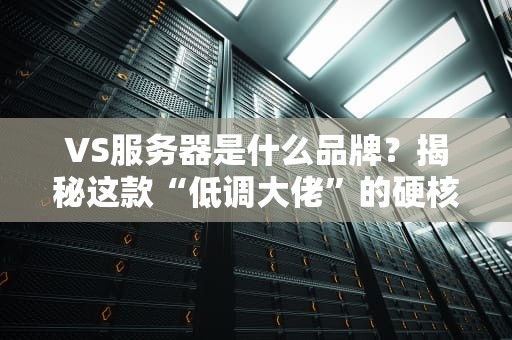 VS服务器是什么品牌？揭秘这款“低调大佬”的硬核实力！