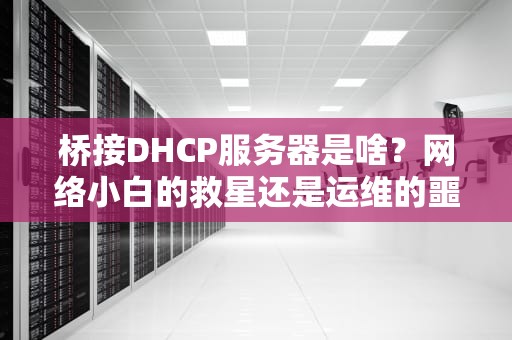 桥接DHCP服务器是啥？网络小白的救星还是运维的噩梦？