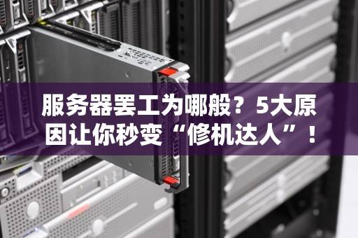 服务器罢工为哪般？5大原因让你秒变“修机达人”！