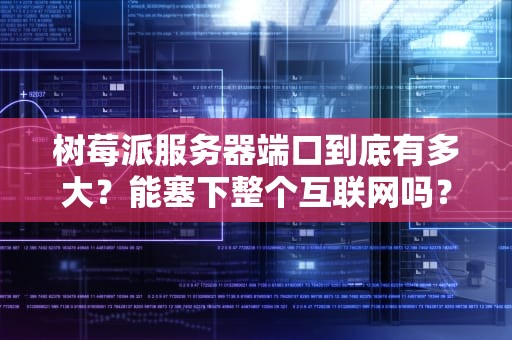 树莓派服务器端口到底有多大？能塞下整个互联网吗？