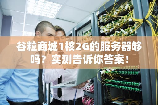 谷粒商城1核2G的服务器够吗？实测告诉你答案！