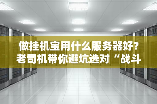 做挂机宝用什么服务器好？老司机带你避坑选对“战斗机”