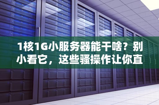1核1G小服务器能干啥？别小看它，这些骚操作让你直呼真香！