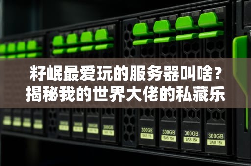 籽岷最爱玩的服务器叫啥？揭秘我的世界大佬的私藏乐园！