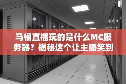 马桶直播玩的是什么MC服务器？揭秘这个让主播笑到“喷饭”的神奇世界！