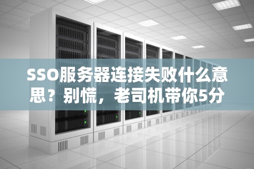 SSO服务器连接失败什么意思？别慌，老司机带你5分钟排雷！