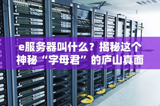 e服务器叫什么？揭秘这个神秘“字母君”的庐山真面目！