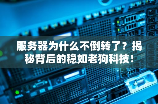 服务器为什么不倒转了？揭秘背后的稳如老狗科技！