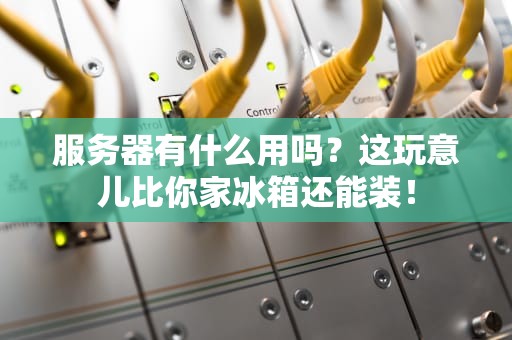 服务器有什么用吗？这玩意儿比你家冰箱还能装！