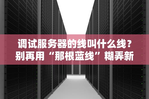 调试服务器的线叫什么线？别再用“那根蓝线”糊弄新手了！