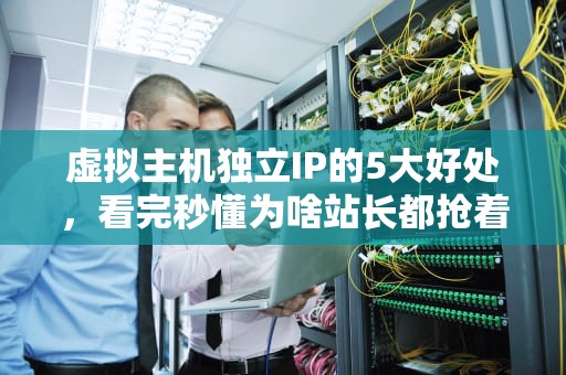 虚拟主机独立IP的5大好处，看完秒懂为啥站长都抢着要！