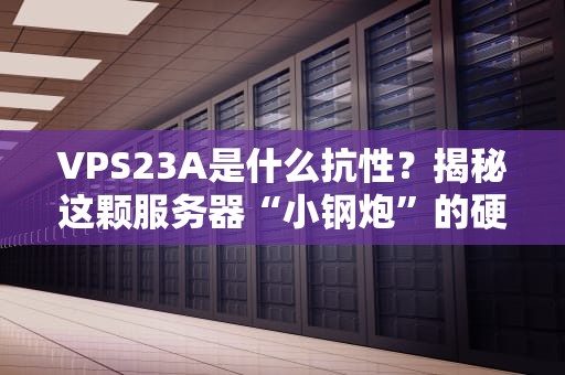 VPS23A是什么抗性？揭秘这颗服务器“小钢炮”的硬核实力！