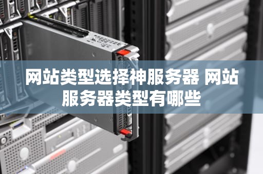 网站类型选择神服务器 网站服务器类型有哪些