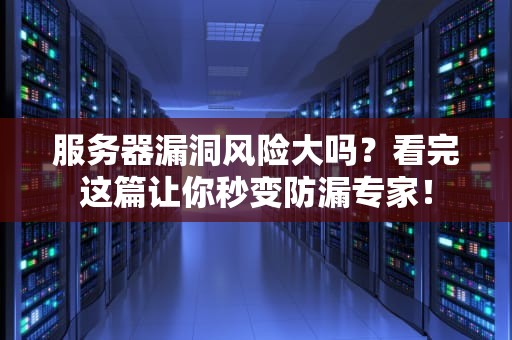 服务器漏洞风险大吗？看完这篇让你秒变防漏专家！