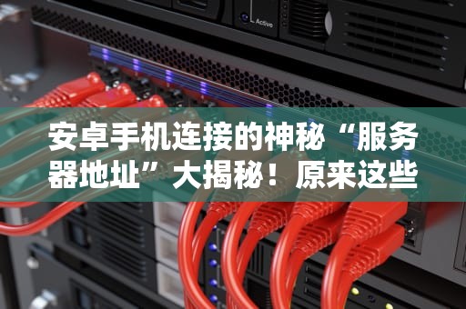 安卓手机连接的神秘“服务器地址”大揭秘！原来这些隐藏设置才是关键！