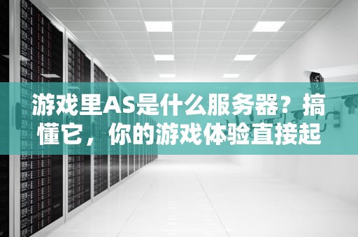 游戏里AS是什么服务器？搞懂它，你的游戏体验直接起飞！