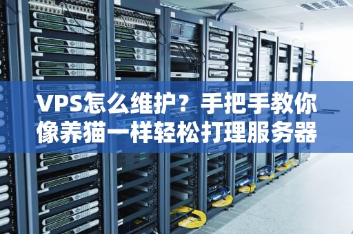 VPS怎么维护？手把手教你像养猫一样轻松打理服务器！