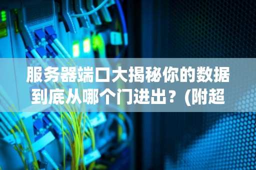 服务器端口大揭秘你的数据到底从哪个门进出？(附超实用检测技巧)
