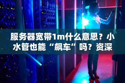 服务器宽带1m什么意思？小水管也能“飙车”吗？资深博主用奶茶店给你讲明白！