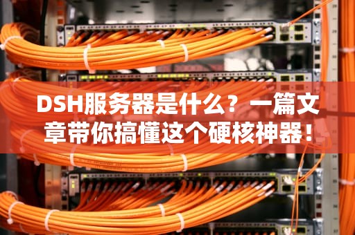 DSH服务器是什么？一篇文章带你搞懂这个硬核神器！