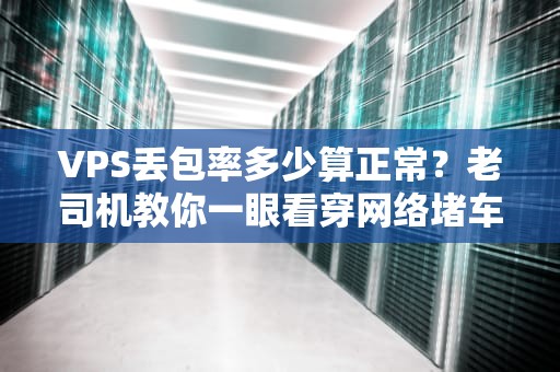 VPS丢包率多少算正常？老司机教你一眼看穿网络堵车！