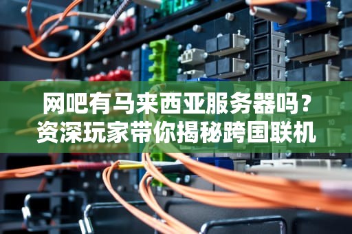 网吧有马来西亚服务器吗？资深玩家带你揭秘跨国联机那些事儿！