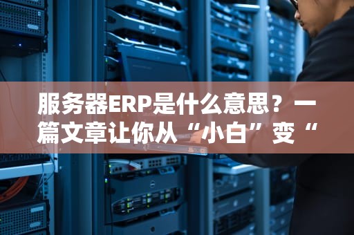 服务器ERP是什么意思？一篇文章让你从“小白”变“大神”！（附真实测评案例）