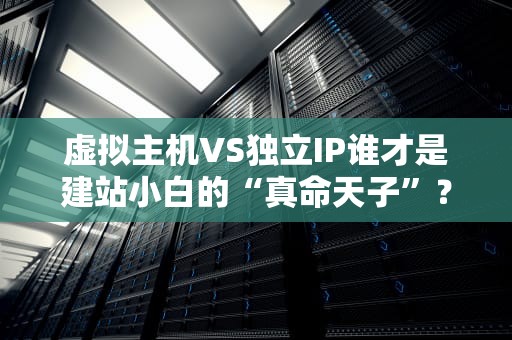 虚拟主机VS独立IP谁才是建站小白的“真命天子”？（附真实测评数据）