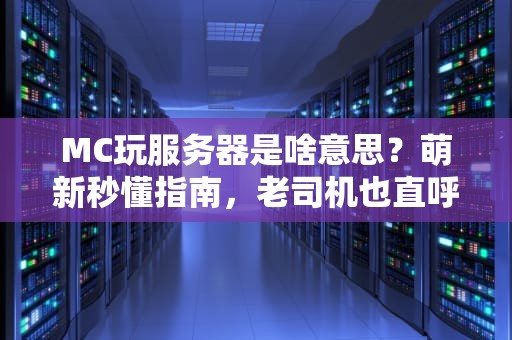 MC玩服务器是啥意思？萌新秒懂指南，老司机也直呼内行！