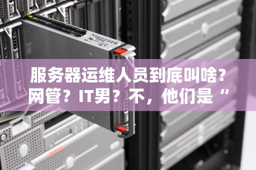 服务器运维人员到底叫啥？网管？IT男？不，他们是“数字世界的超级英雄”！