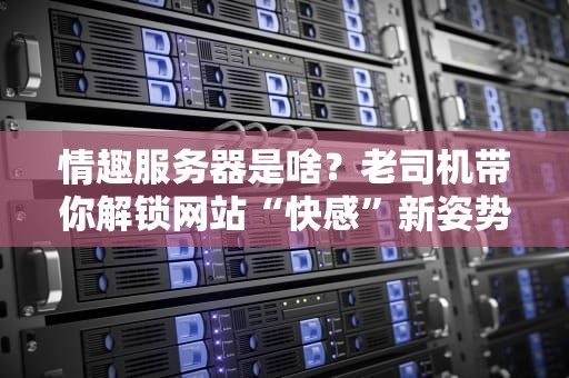 情趣服务器是啥？老司机带你解锁网站“快感”新姿势！