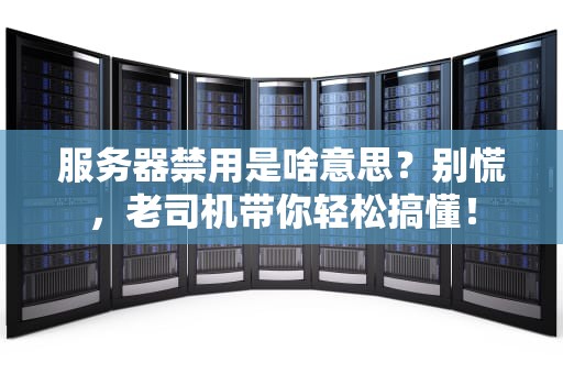 服务器禁用是啥意思？别慌，老司机带你轻松搞懂！